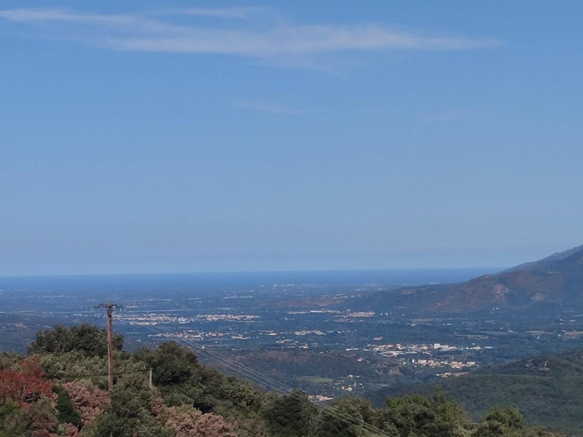Le Havre De Paix Villa Céret Dış mekan fotoğraf