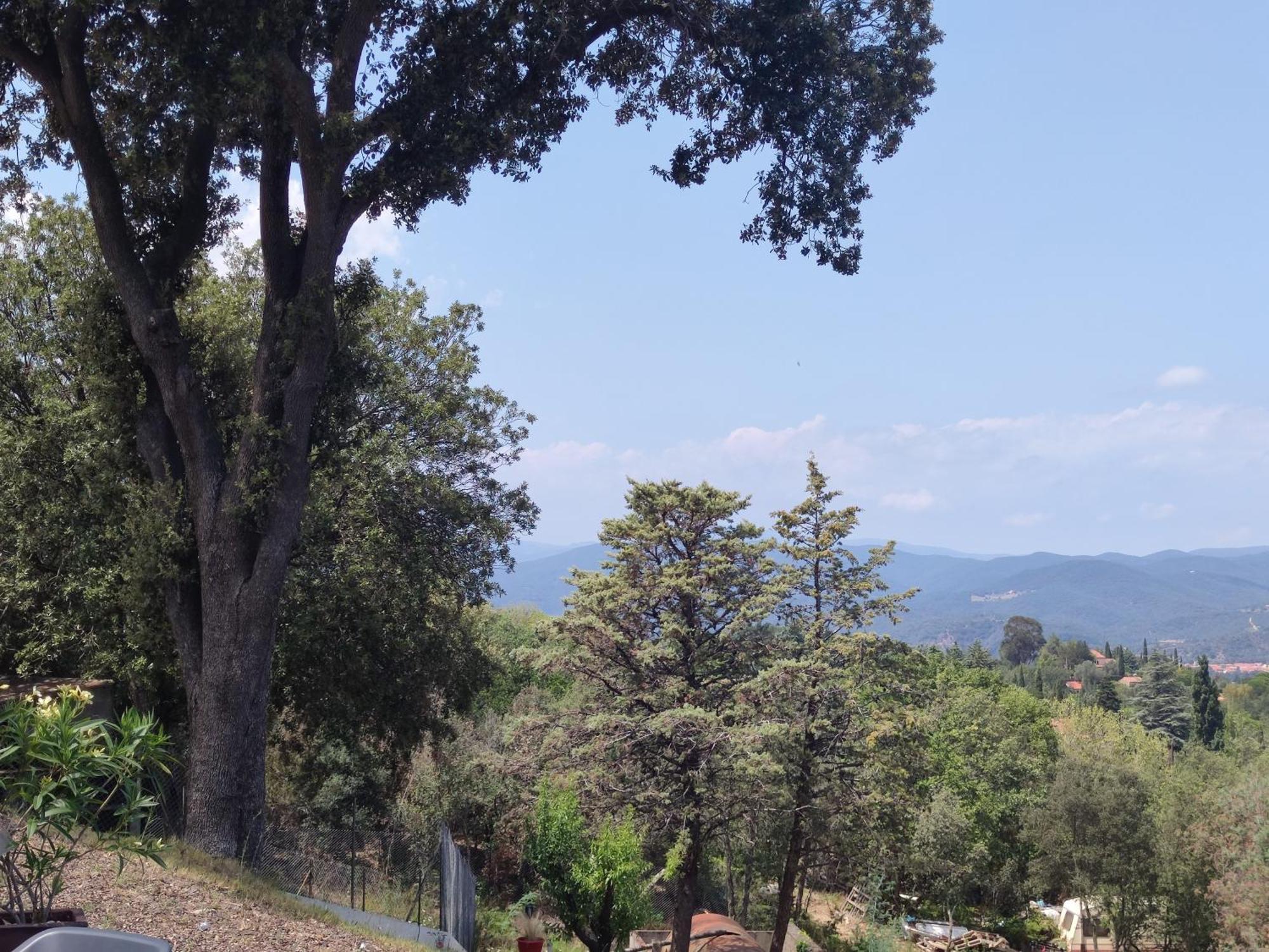 Le Havre De Paix Villa Céret Dış mekan fotoğraf